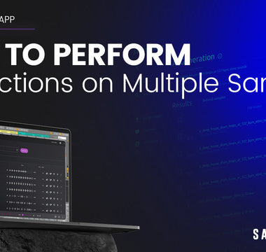 How to Perform Bulk Actions on Multiple Samples in Samplesound AI