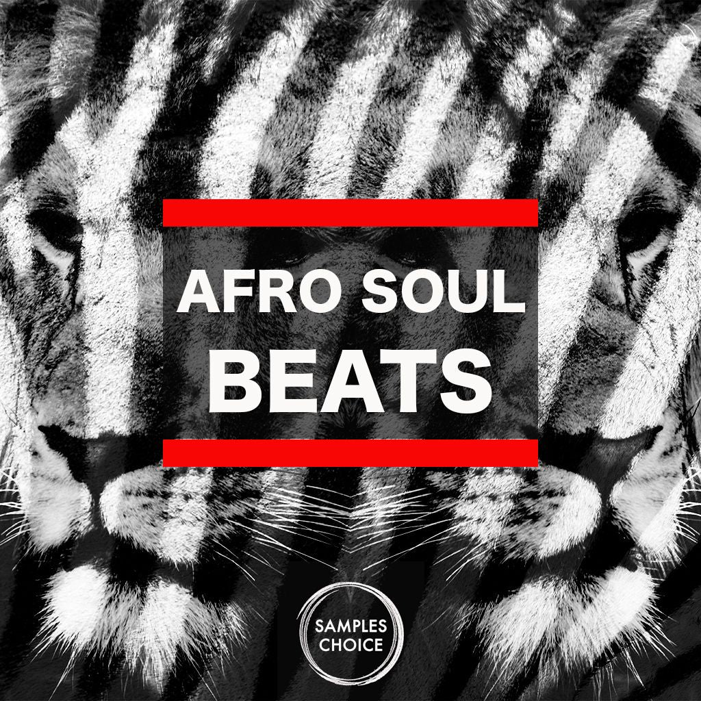 Afro Soul Beats - Construction kits - Loops - Shots Sample Pack Samples Choice