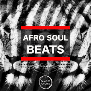 Afro Soul Beats - 1