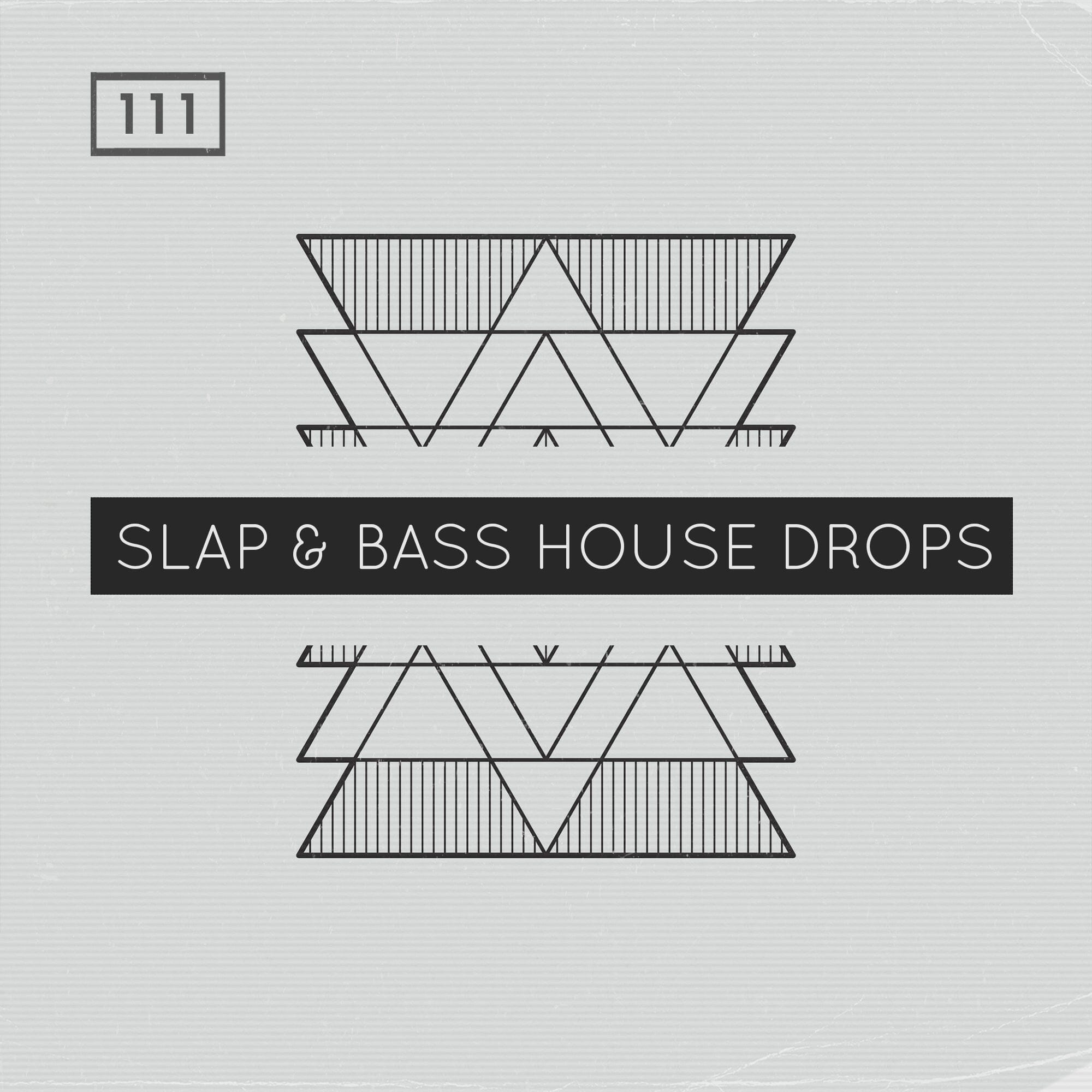 Slap Bass House Drops - Bass House Sample Pack (WAV MIDI and Rex2)