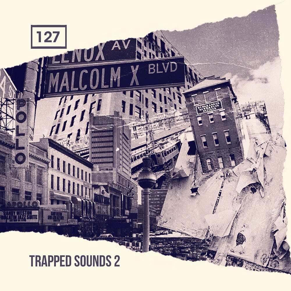 Trapped Sounds 2 - Trap Sample Pack (WAV and Rex2 Files) Sample Pack Bingoshakerz